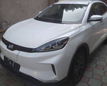 машиналар: Weltmeister EX5, 2021 г., 74000 км, Передний, В наличии