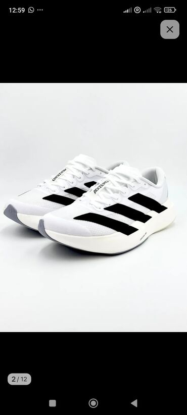bona кроссовки бишкек: Мужские кроссовки, 40, Adidas, Новый, цвет - Белый