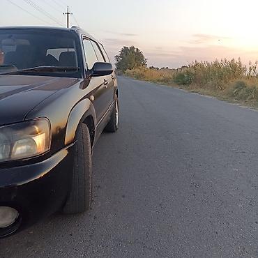 богажник фит: Subaru Forester: 2004 г., 2 л, Автомат, Бензин, Кроссовер — 9