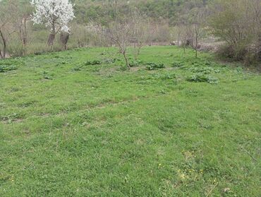 Torpaq sahələrinin satışı: 15 sot, Tikinti, Maklerlər narahat etməsin, Kupça (Çıxarış)