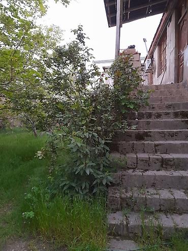 kənd: 8 sot, Kənd təsərrüfatı, Kupça (Çıxarış) — 5
