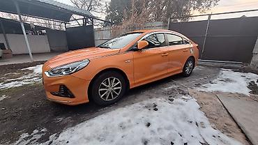 Hyundai: Hyundai Sonata: 2019 г., 2 л, Автомат, Седан — 2