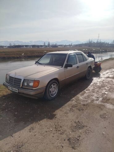 Mercedes-Benz: Mercedes-Benz W124: 1989 г., 2.3 л, Механика, Бензин