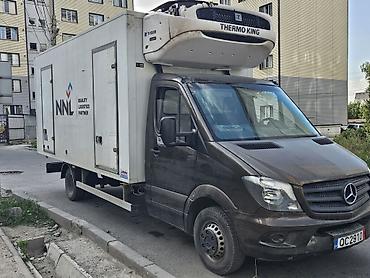 присеп реф: Mercedes-Benz Спринтер: 2008 г., 3 л, Автомат — 2