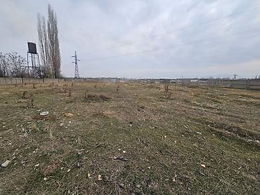 129 соток, Красная книга, Тех паспорт