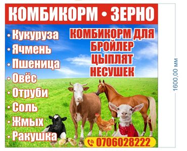 Корма для с/х животных: КОРМА: кукуруза ячмень пшеница овёс Корма для всех видов с/х