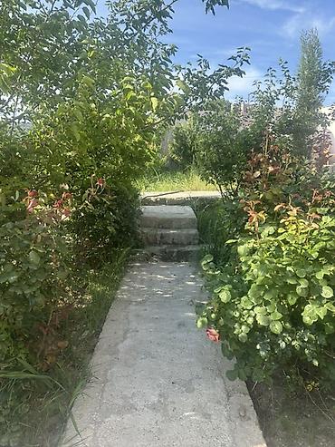 kirayə 1 otaq: Bağ evi tarqovu ramana deyilən yerde düz yol kenarı 204 un — 1