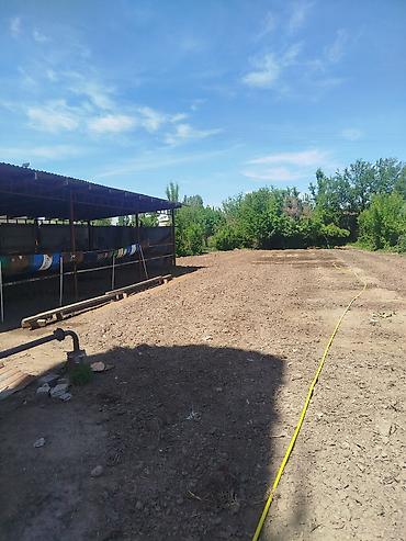 Продажа сельхоз предприятий: Фермерский двор/подворье с хозяйственными постройками и открытыми — 1