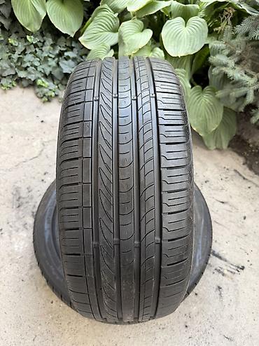 245: Шины 245 / 45 / R 19, Лето, Б/у, Пара, Легковые, Корея, Nexen — 2