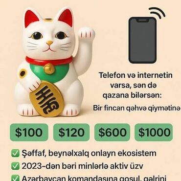 işler: Xanımlar və cənablar Sizi daim artımlı gəlir imkanı olan işlə tanış