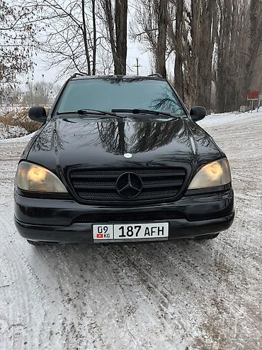 Mercedes-Benz ML-Class: 1999 г., 3.2 л, Автомат, Бензин, Кроссовер