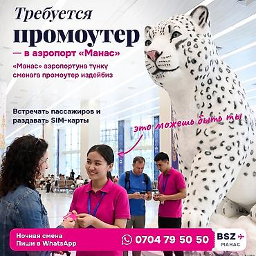 кассир ночь: Требуется промоутер в аэропорт «Манас» на ночь, с 03:00 до 07:00 — 1
