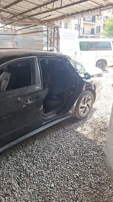 покр: Предлагаются профессиональные услуги по покраске кузова автомобиля — 6
