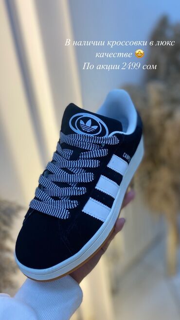 обувь германия: Adidas Campus🤩 PREMIUM !!! Unisex Новые, Свежие, Чистые, Опрятные
