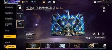 Другие комплектующие: Продам игровой аккаунт Free Fire. Основные характеристики: - Уровень — 19