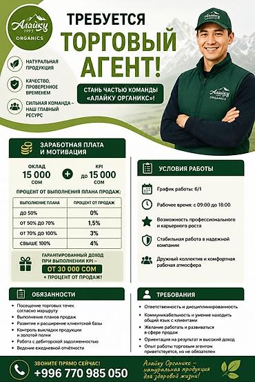 Требуется Торговый агент, График: Шестидневка, Без опыта, Карьерный рост, Полный рабочий день