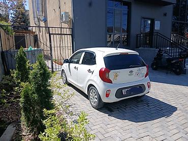 фит токмок: Kia Morning: 2019 г., 1 л, Автомат, Бензин, Хэтчбэк — 6