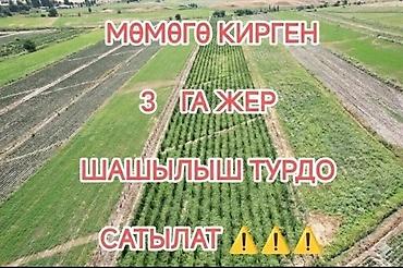 кызыл ата: 30 соток, Для бизнеса, Красная книга — 1