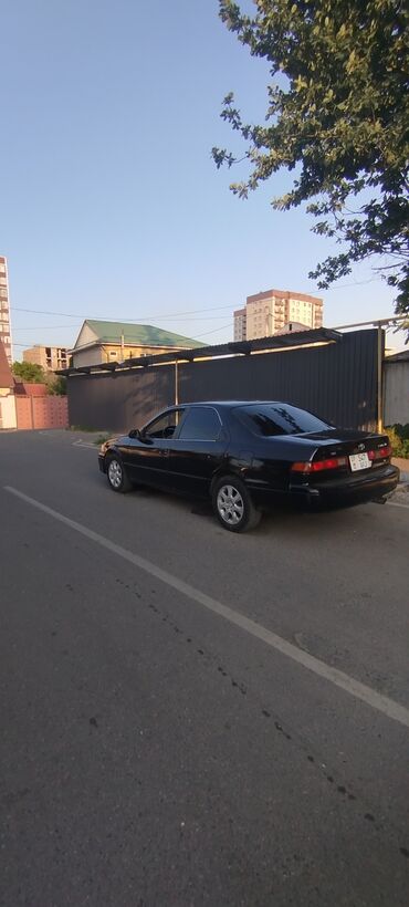 домкрат 210: Toyota Camry: 1997 г., 3 л, Автомат, Бензин, Седан