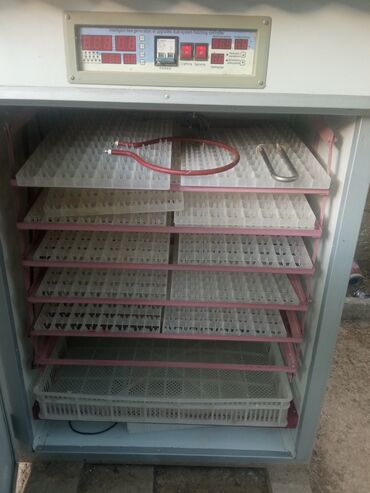 Yağ çəkən aparatlar: 1056 yumurtalıq inkubator satılır heç bir problemi yoxdu