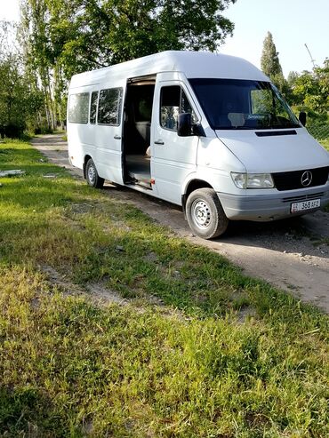 Mercedes-Benz: Mercedes-Benz Спринтер: 1999 г., 2.9 л, Механика, Дизель, Бус