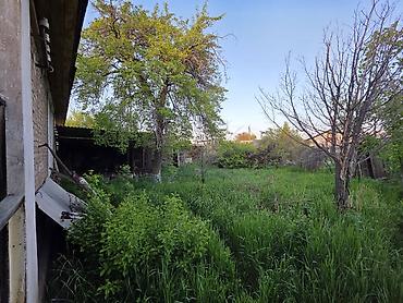 Продажа коттеджей и домов: Срочно!!! Продаётся два больших совмещённых дома из кирпича по цене — 9