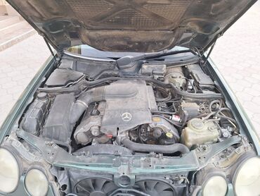 Mercedes-Benz: Mercedes-Benz : 1996 г., 4.2 л, Автомат, Газ, Седан — 2