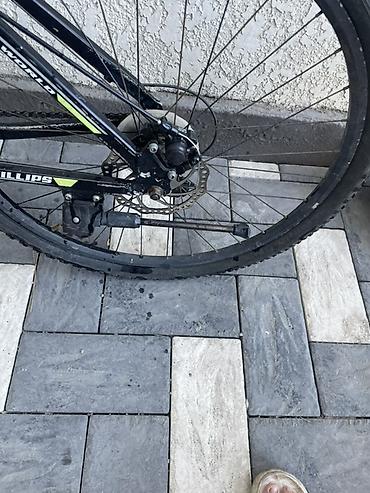 format velosiped: Горный велосипед Phillips (жёсткая рама, 26") - Рама: стальная — 4