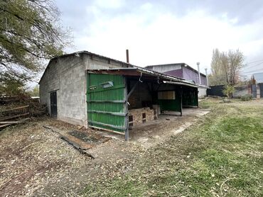 алтын ордо ж м: Сатам Сатам Мүйүздүү бодо мал фермасы, 15 соток, Иштеп жаткан, Жабдуулары менен, Электр энергиясы, Муздак суу