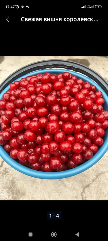 юла отдам даром мебель: Свежие вишня 🍒. Келишим турундо