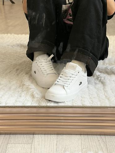 lacoste кроссовки: Мужские кроссовки, 36, 36.5, 37, Lacoste, Новый, цвет - Белый — 4