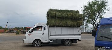 кара топурак: Портер, Вывоз строй мусора, По региону, По городу, без грузчика
