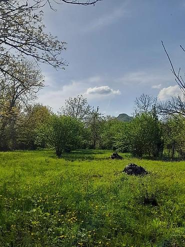 Torpaq sahələrinin satışı: 30 sot, Tikinti, Mülkiyyətçi, Kupça (Çıxarış) -da lalafo.az — 14 Torpaq sahələrinin satışı: 30 sot, Tikinti, Mülkiyyətçi, Kupça (Çıxarış) — 14