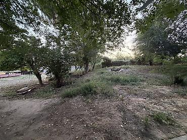 село лелиниское: Продается дача в селе Маяк Вода электричество есть Дача 19 соток — 7