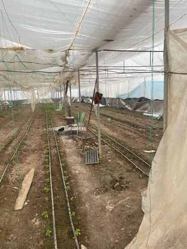 поливное поле: 100 соток, Для сельского хозяйства, Договор купли-продажи