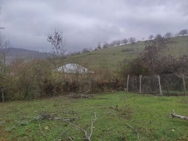 Torpaq sahələrinin satışı: 20 sot, Tikinti, Mülkiyyətçi, Kupça (Çıxarış), Texniki pasport — 16