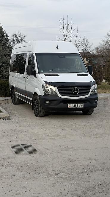 Пассажирский бус на заказ: Транспортные услуги Пассажирские перевозки на комфортабельных — 5