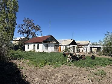 Продажа коттеджей и домов: Дом с участком. - Тип: одноэтажный частный дом с двускатной крышей и — 10