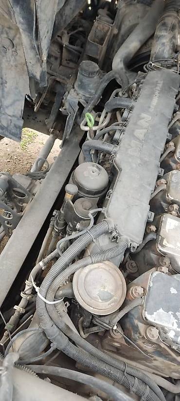 Тягачи: Тягач, MAN, 2004 г., Холодильник, рефрижератор — 8