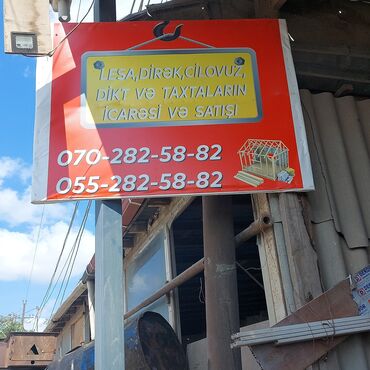 Diktlər: Lesa,dirək,cilovuz,dik və taxtaların icarəsi və satışı — 3