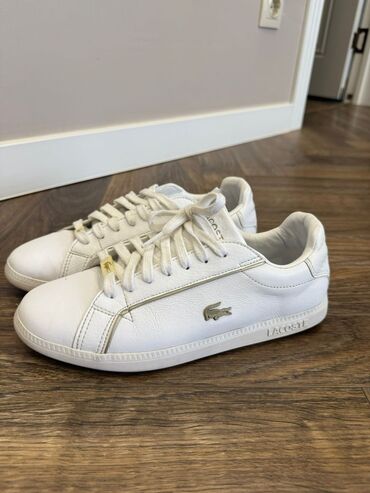 кроссовки лакосте: Кроссовки, 39, Lacoste, Б/у, цвет - Белый