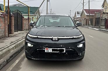 BYD: BYD : 2022 г., 1.5 л, Электромобиль — 4