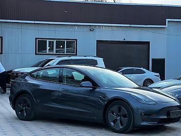 Tesla: Tesla Model 3: 2023 г., Автомат, Электромобиль, Седан — 4