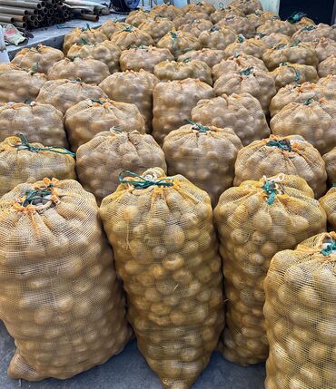 цена картошки в бишкеке: Картошка
