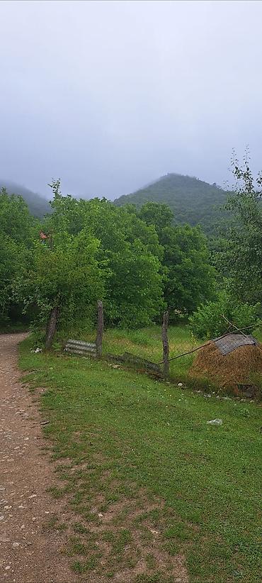Günlük kirayə evlər: 150 kv. m, 4 otaqlı — 10