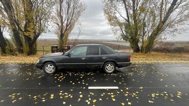 mercedesbenz w124 продажа: Mercedes-Benz W124: 1991 г., 2.3 л, Механика, Бензин, Седан