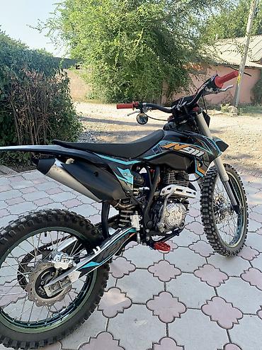 Эндуро 250 куб. см, Бензин, Взрослый, Б/у — 9