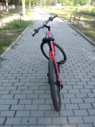 velik satisi: Yeni Dağ velosipedi Adidas, 29", sürətlərin sayı: 12, Pulsuz çatdırılma