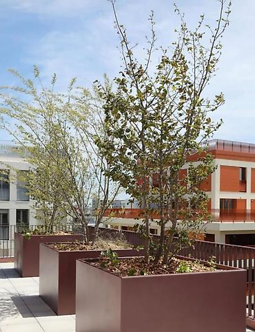 bezek bitkileri adlari: Məhsul: Böyük ölçülü kvadrat dekorativ dibçəklər - Tətbiq sahəsi — 9