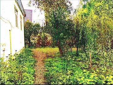 Günlük kirayə evlər: 90 kv. m, 3 otaqlı, İnternet, Telefon, Qaz — 15